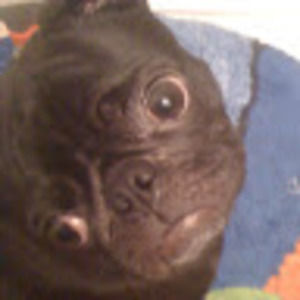 Meet your Posher, Abi